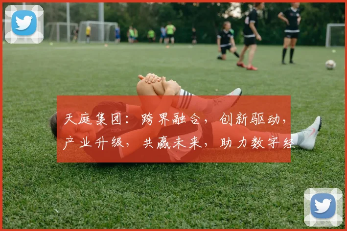天庭集团：跨界融合，创新驱动，产业升级，共赢未来，助力数字经济新篇章
