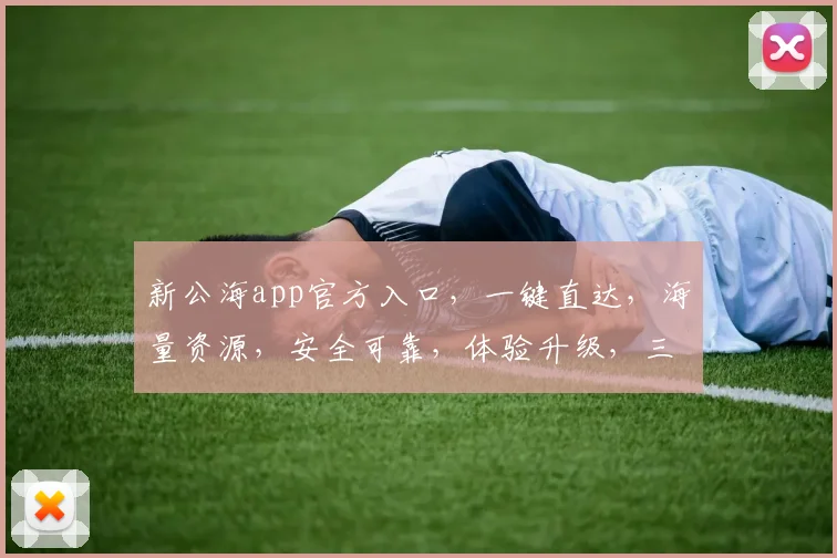 新公海app官方入口，一键直达，海量资源，安全可靠，体验升级，三步即可