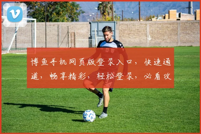 博鱼手机网页版登录入口，快速通道，畅享精彩，轻松登录，必看攻略，两步到位