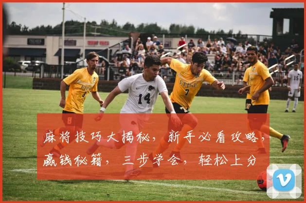 麻将技巧大揭秘，新手必看攻略，赢钱秘籍，三步学会，轻松上分